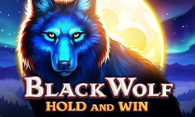 Black Wolf Hold and Win