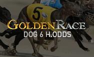 Dog 6 H.Odds