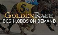 Dog H.Odds On Demand