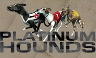 Dogs (Platinum Hounds)