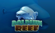 Dolphin Reef