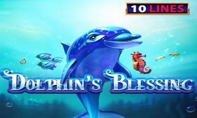 Dolphins Blessing
