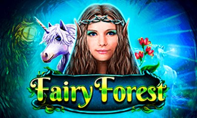 Fairy Forest