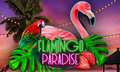Flamingo Paradise