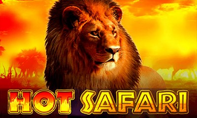 Hot Safari