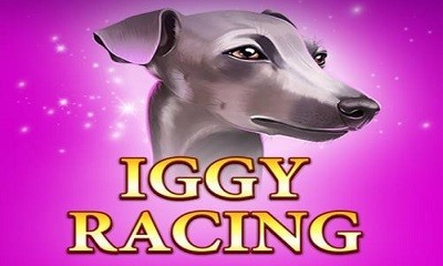 Iggy Racing