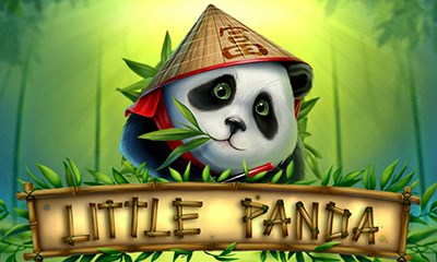 Little Panda