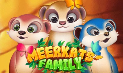 Meerkats Family