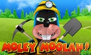 Moley Moolah