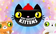 Not Enough Kittens