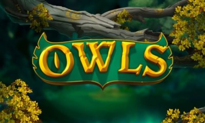Owls