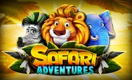 Safari Adventures