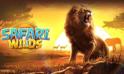 Safari Wilds