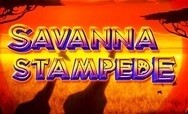 Savanna Stampede