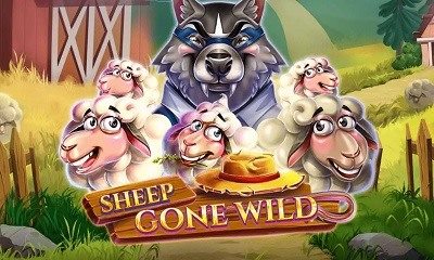 Sheep Gone Wild
