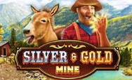 Silver and Gold Mine