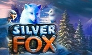 Silver Fox