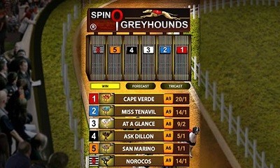 Spinosports Greyhounds