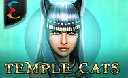 Temple Cats