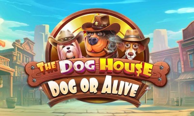 The Dog House Dog or Alive