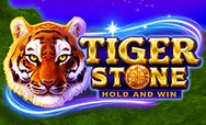 Tiger Stone