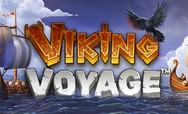 Viking Voyage