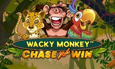 Wacky Monkey Chase N Win