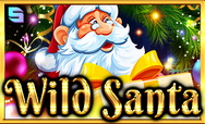 Wild Santa