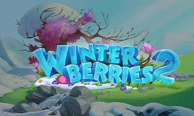 Winterberries 2